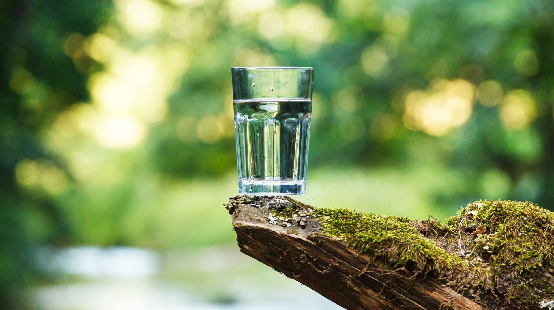 Ein klares, mit Wasser gefülltes Glas, das auf einem mit Moos bewachsenen Holzstamm steht, mit einem unscharfen Hintergrund aus Grünzeug.
