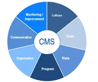 Ein Tortendiagramm mit verschiedenen Komponenten, die jeweils mit einem bestimmten Begriff im Zusammenhang mit CMS beschriftet sind, z. B. "Kommunikation", "Kultur", "Ziele" und "Risiken".